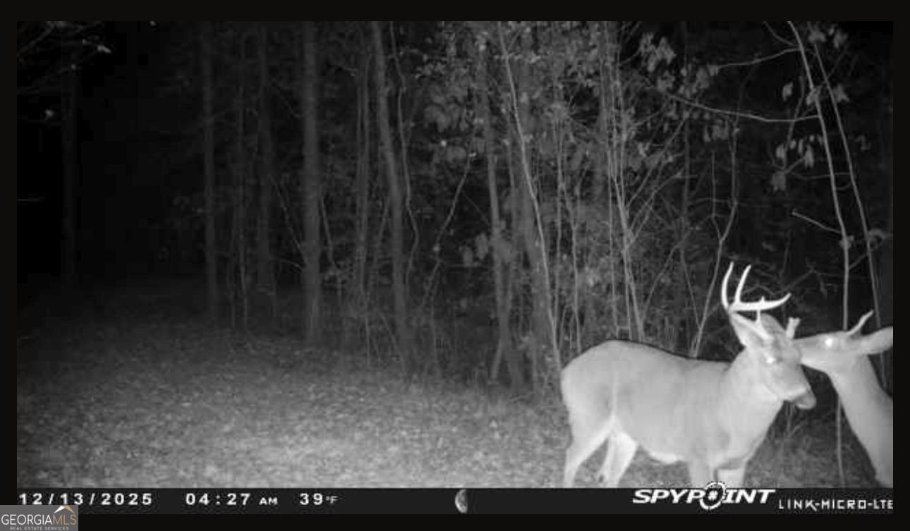 301 Beaver Dam Road Toomsboro - Photo 98