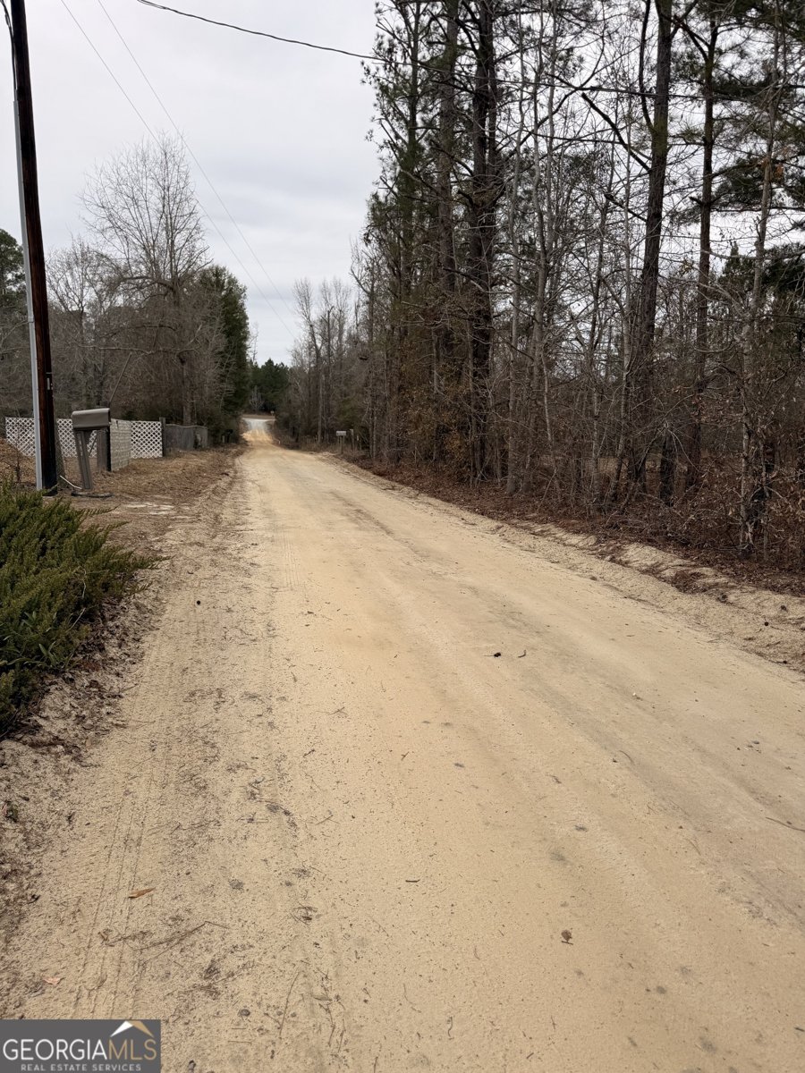 1025 Ralph Mullis Road Rentz - Photo 34