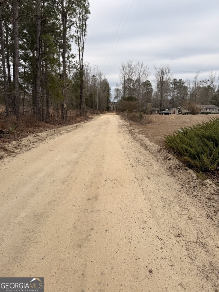 1025 Ralph Mullis Road Rentz - Photo 35