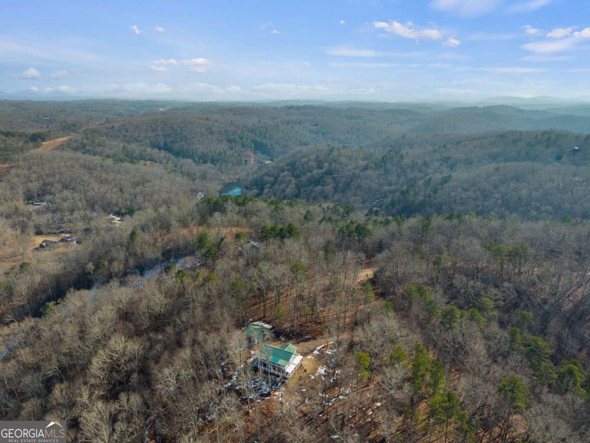 56 Robins Ridge Blue Ridge - Photo 10