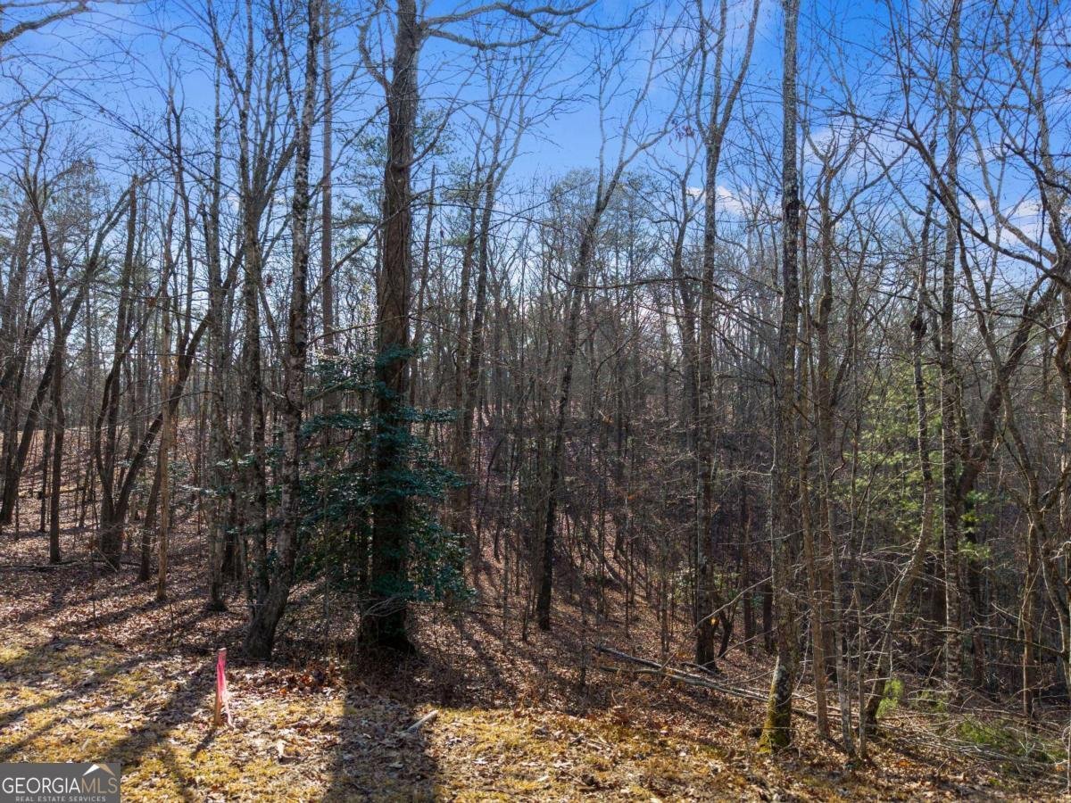 56 Robins Ridge Blue Ridge - Photo 11