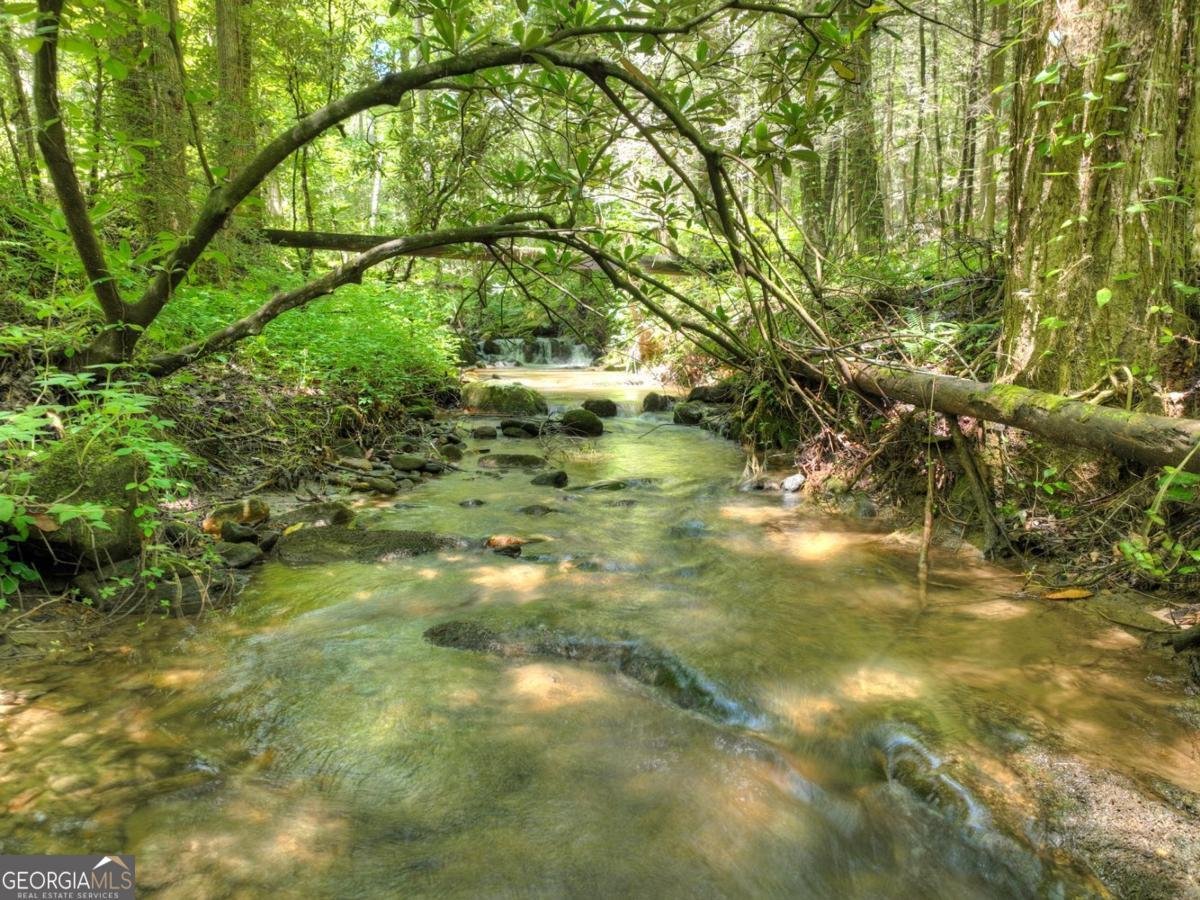 1048 Laurel Trail Ellijay - Photo 51