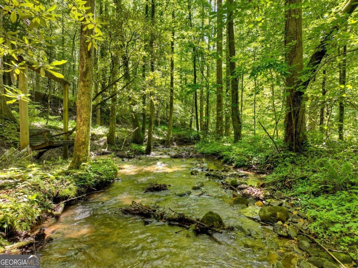1048 Laurel Trail Ellijay - Photo 55