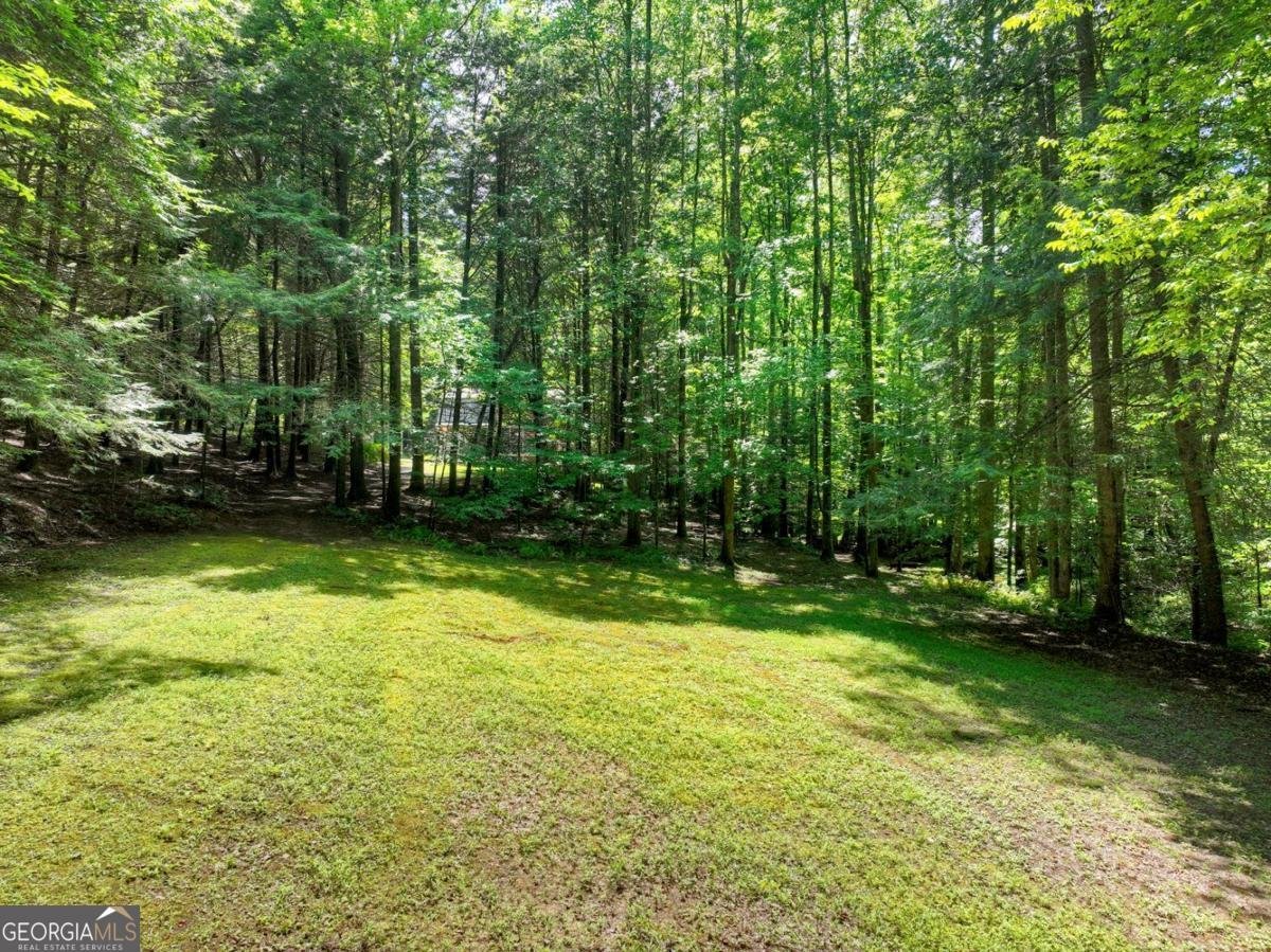 1048 Laurel Trail Ellijay - Photo 59