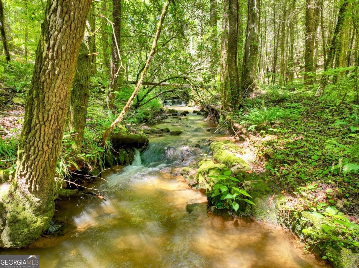 1048 Laurel Trail Ellijay - Photo 6