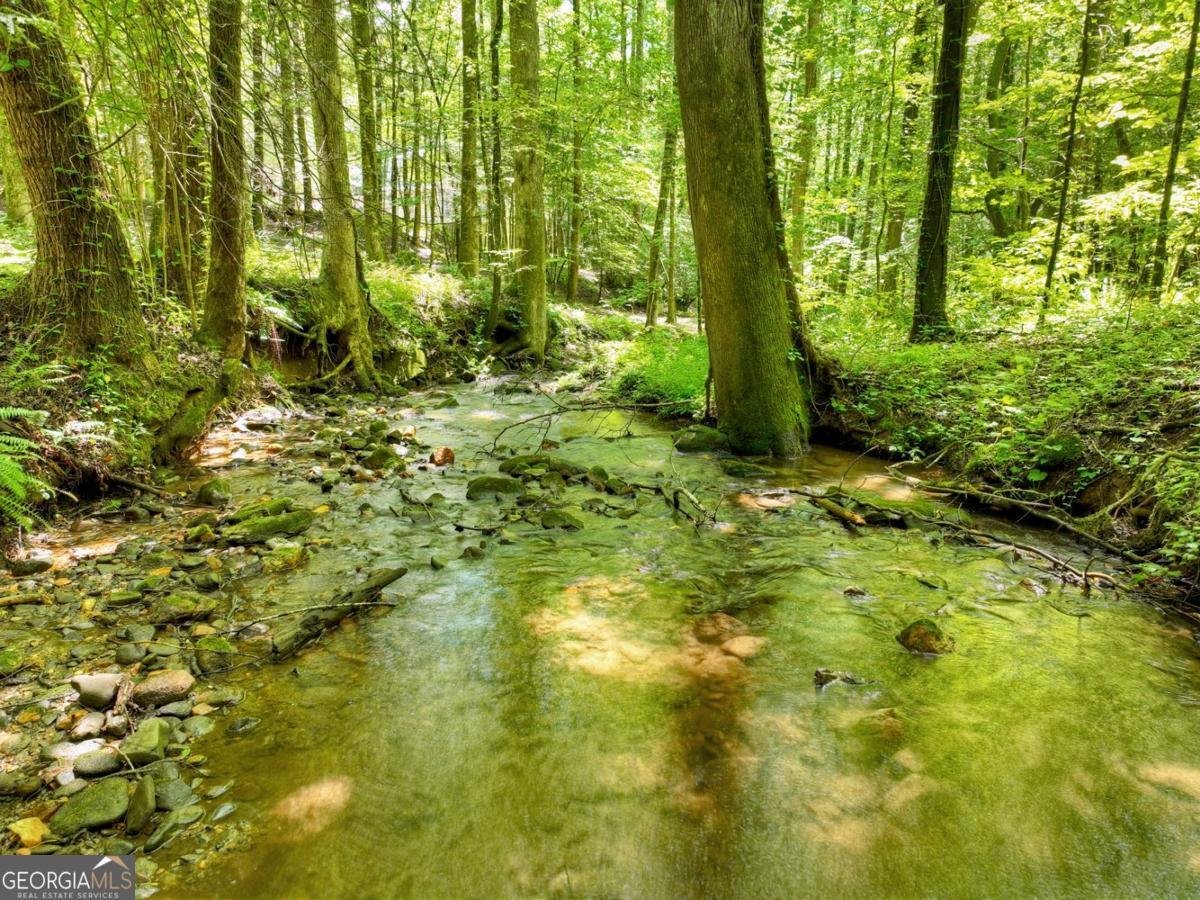 1048 Laurel Trail Ellijay - Photo 62