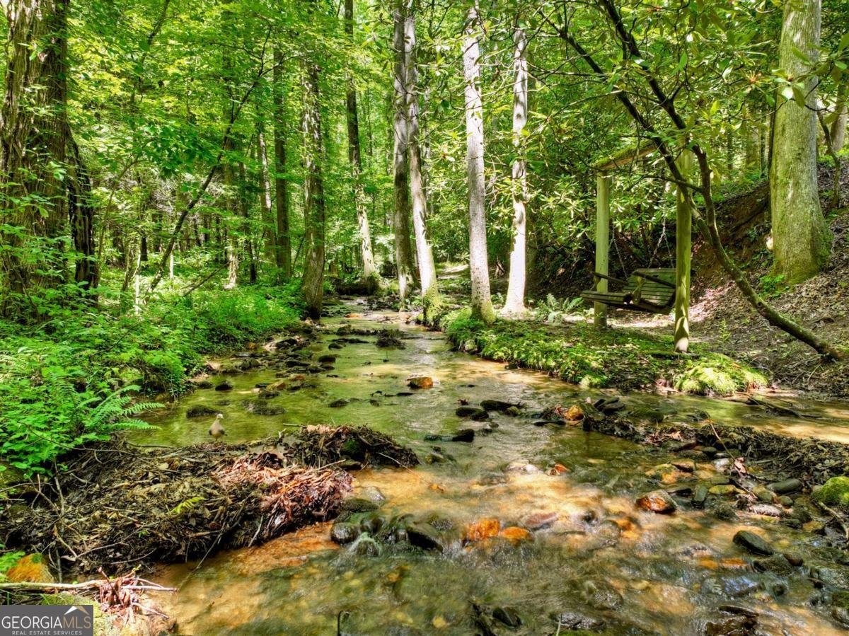 1048 Laurel Trail Ellijay - Photo 64