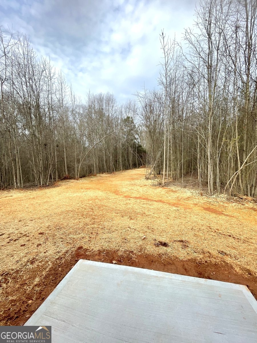 1965 Hollis Street Athens - Photo 20