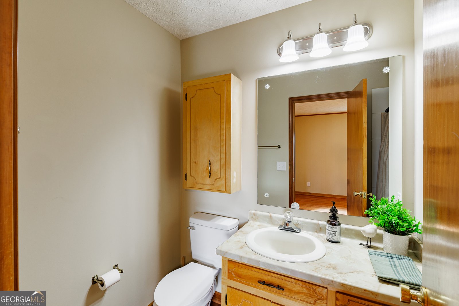 1719 Hwy 98 Danielsville - Photo 16