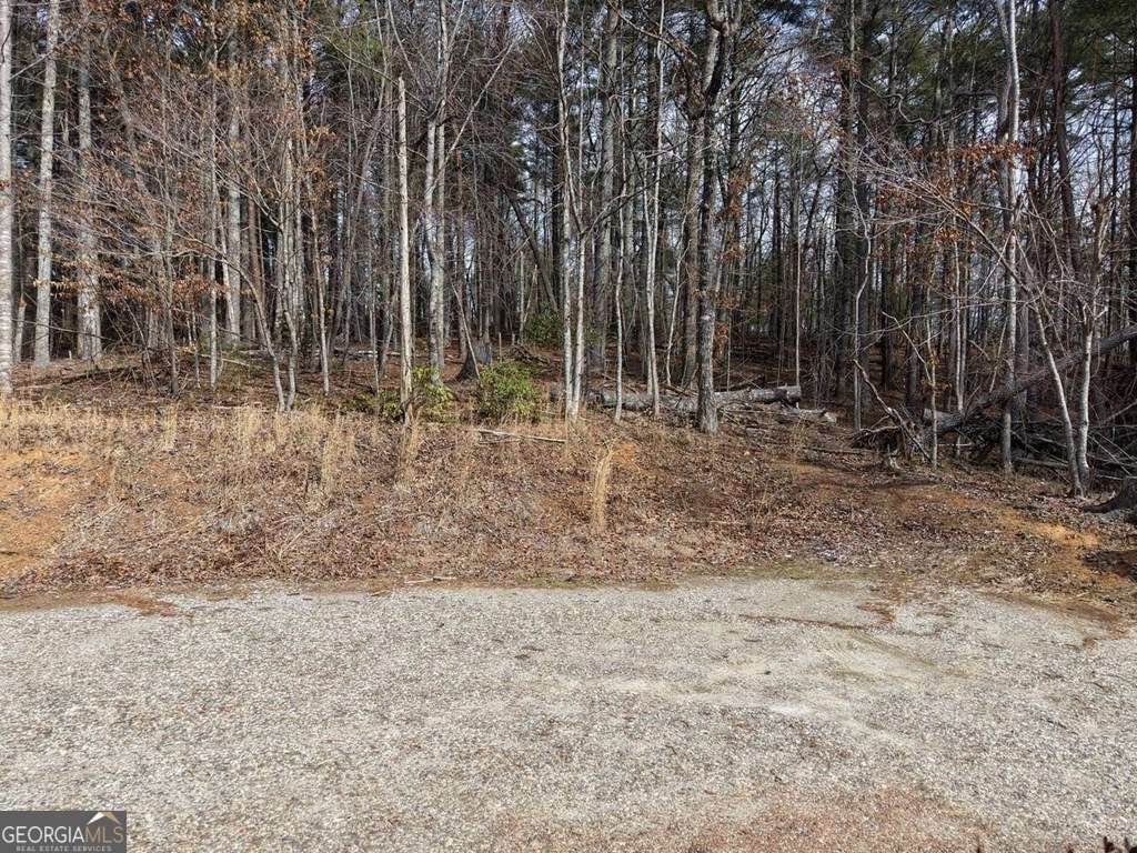 101 Kristina Lane Blairsville - Photo 37