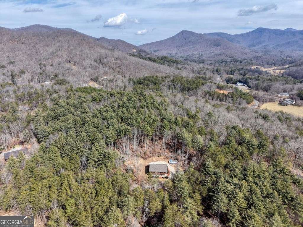 101 Kristina Lane Blairsville - Photo 45