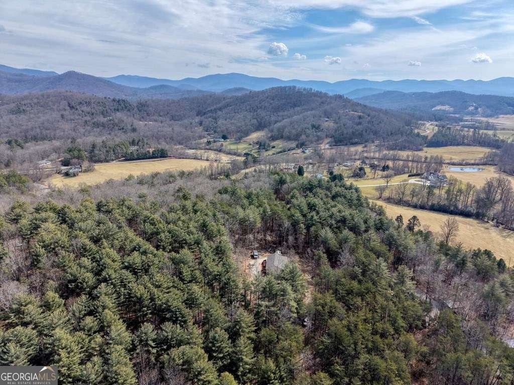 101 Kristina Lane Blairsville - Photo 47