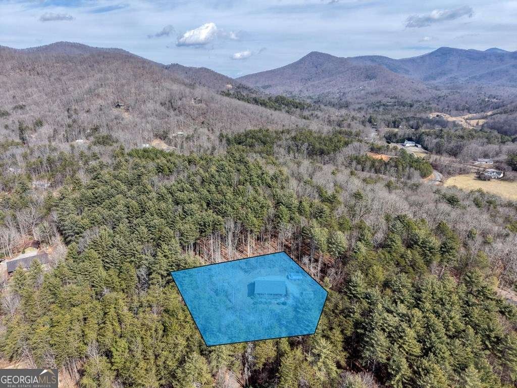 101 Kristina Lane Blairsville - Photo 49