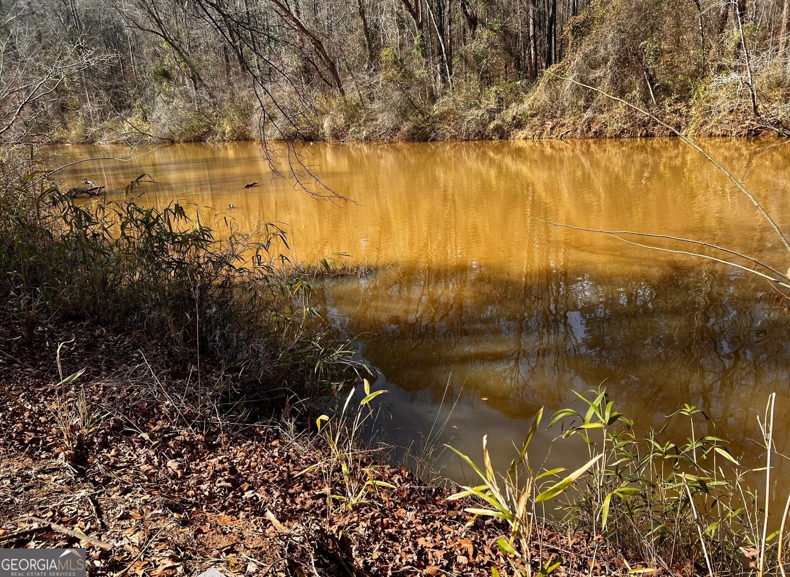 1918 Woodland Road Thomaston - Photo 79