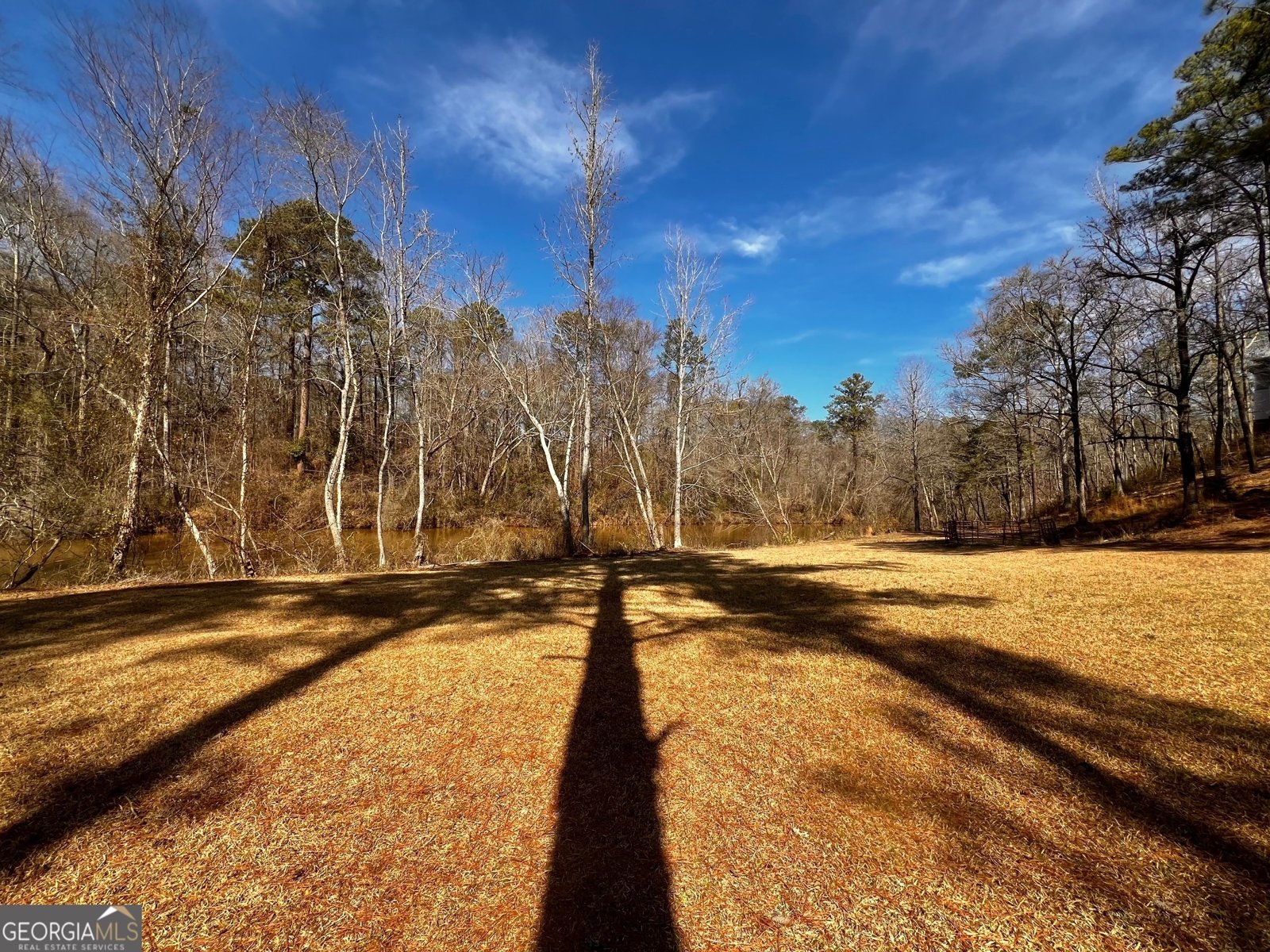 1918 Woodland Road Thomaston - Photo 81