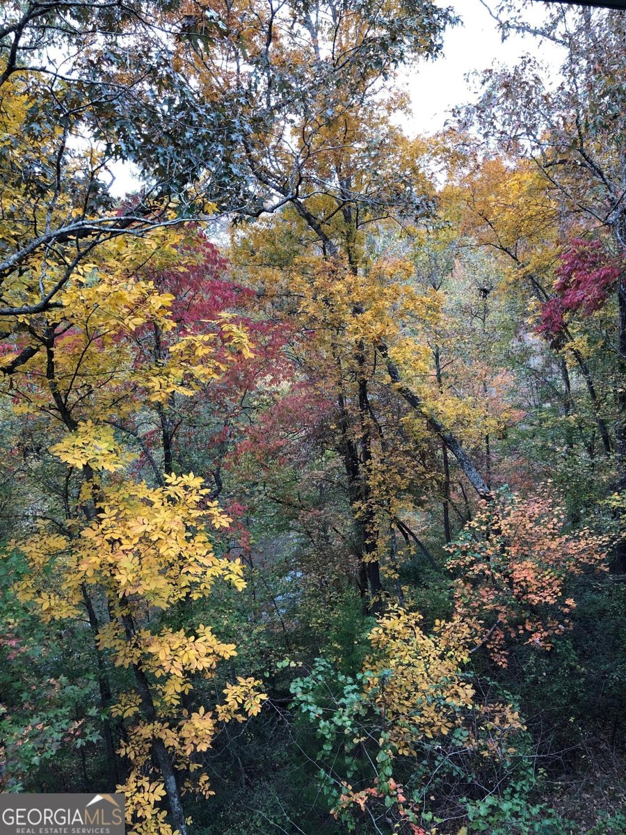 1918 Woodland Road Thomaston - Photo 82