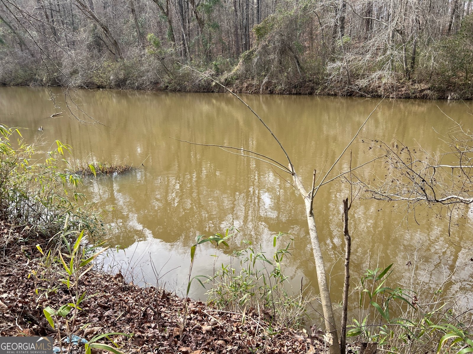 1918 Woodland Road Thomaston - Photo 84