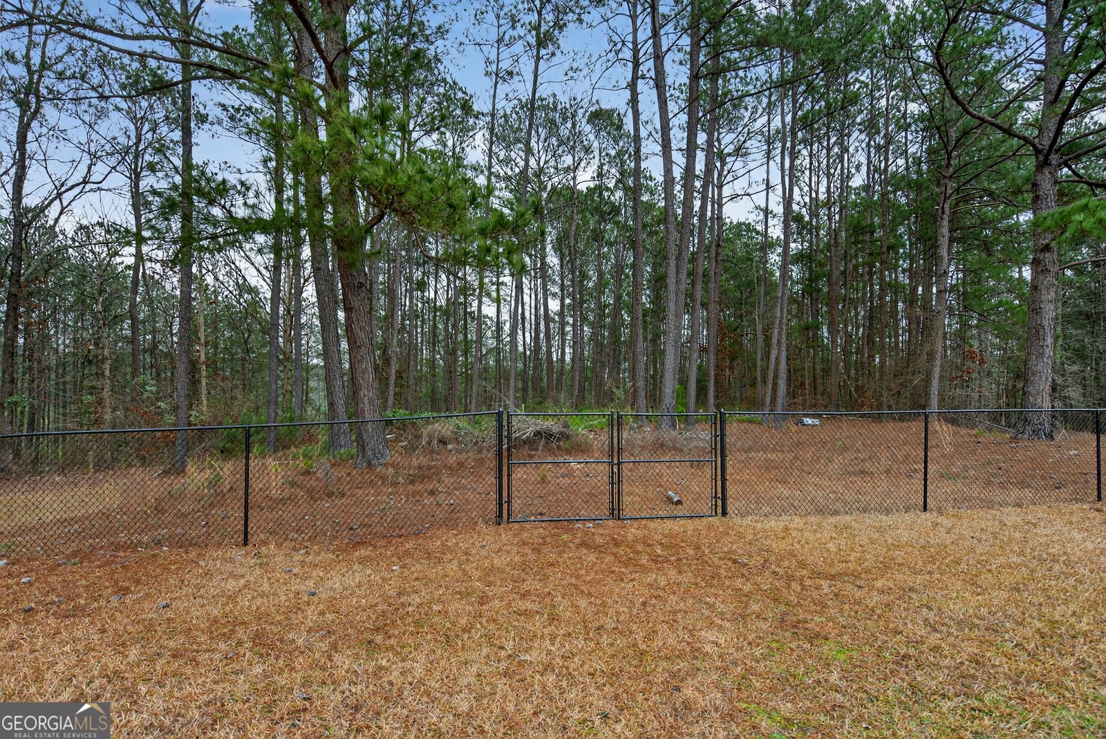 107 Amhurst Drive West Point - Photo 29