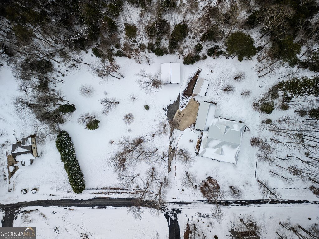 638 Farmer Circle Mineral Bluff - Photo 43