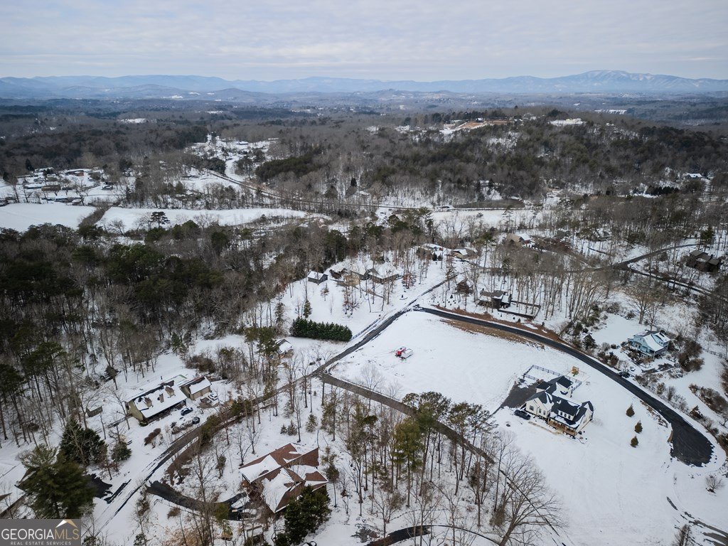 638 Farmer Circle Mineral Bluff - Photo 44