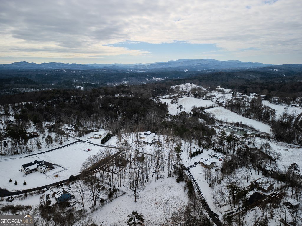 638 Farmer Circle Mineral Bluff - Photo 45