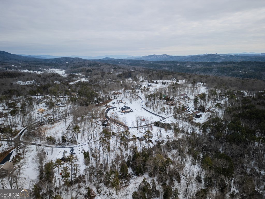 638 Farmer Circle Mineral Bluff - Photo 46