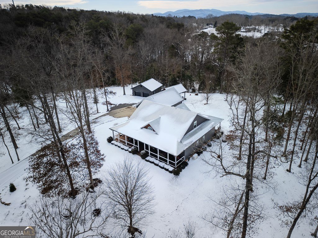 638 Farmer Circle Mineral Bluff - Photo 49