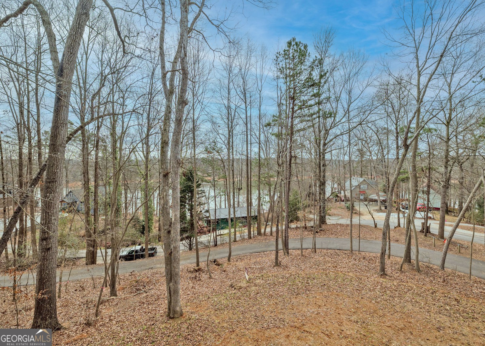 990 Rue Fleur De Lis Lavonia - Photo 24