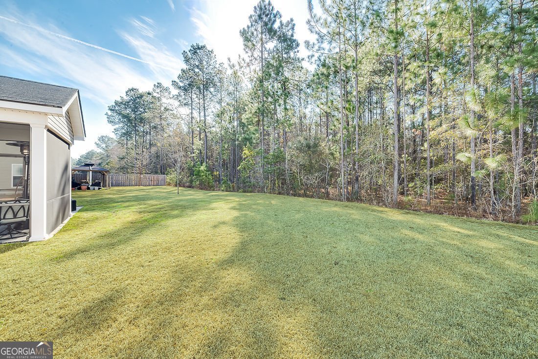 129 Crystal Lake Drive Savannah - Photo 45