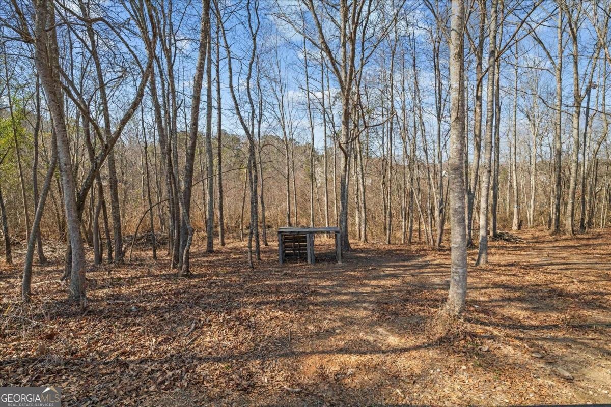 313 Stonecrest Drive Carrollton - Photo 52