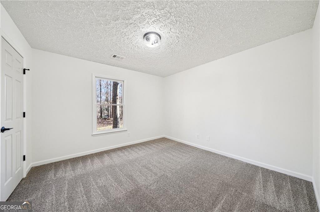 1020 Laurel Lake Drive Ball Ground - Photo 16