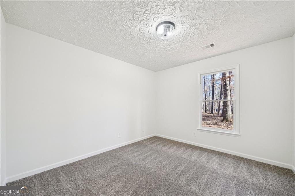 1020 Laurel Lake Drive Ball Ground - Photo 18