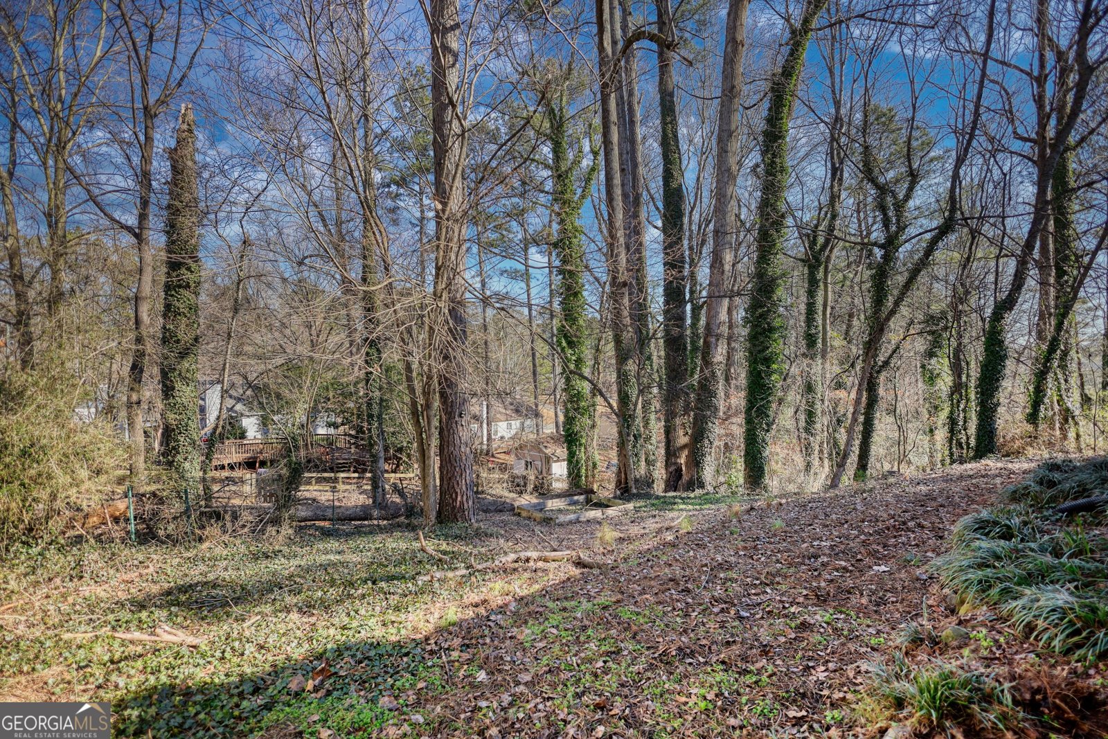 181 Colemans Bluff Drive Woodstock - Photo 44