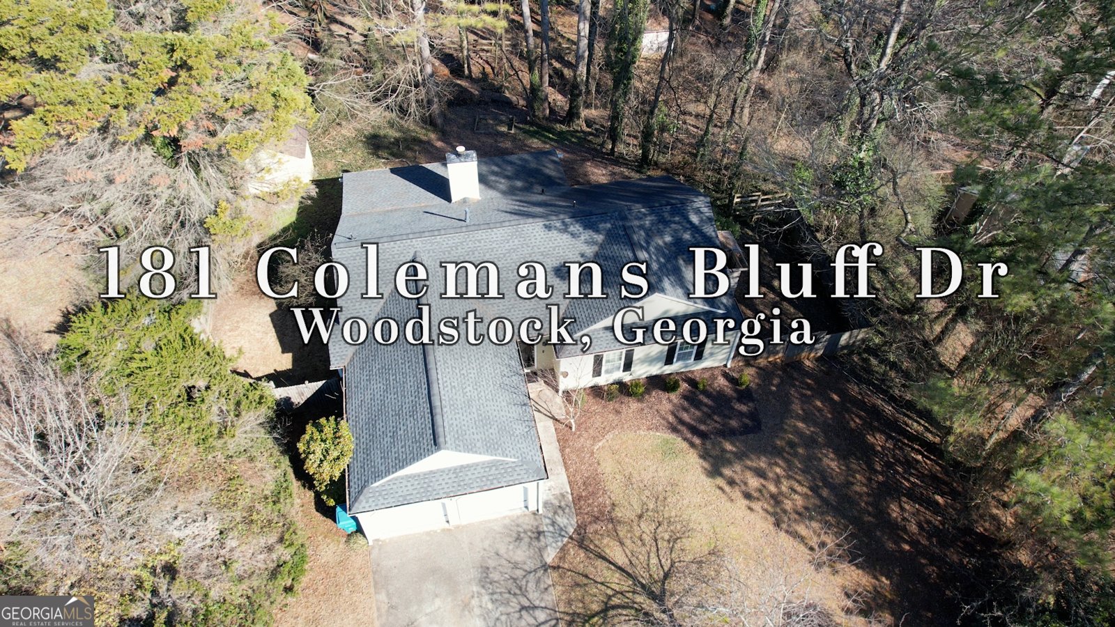 181 Colemans Bluff Drive Woodstock - Photo 47