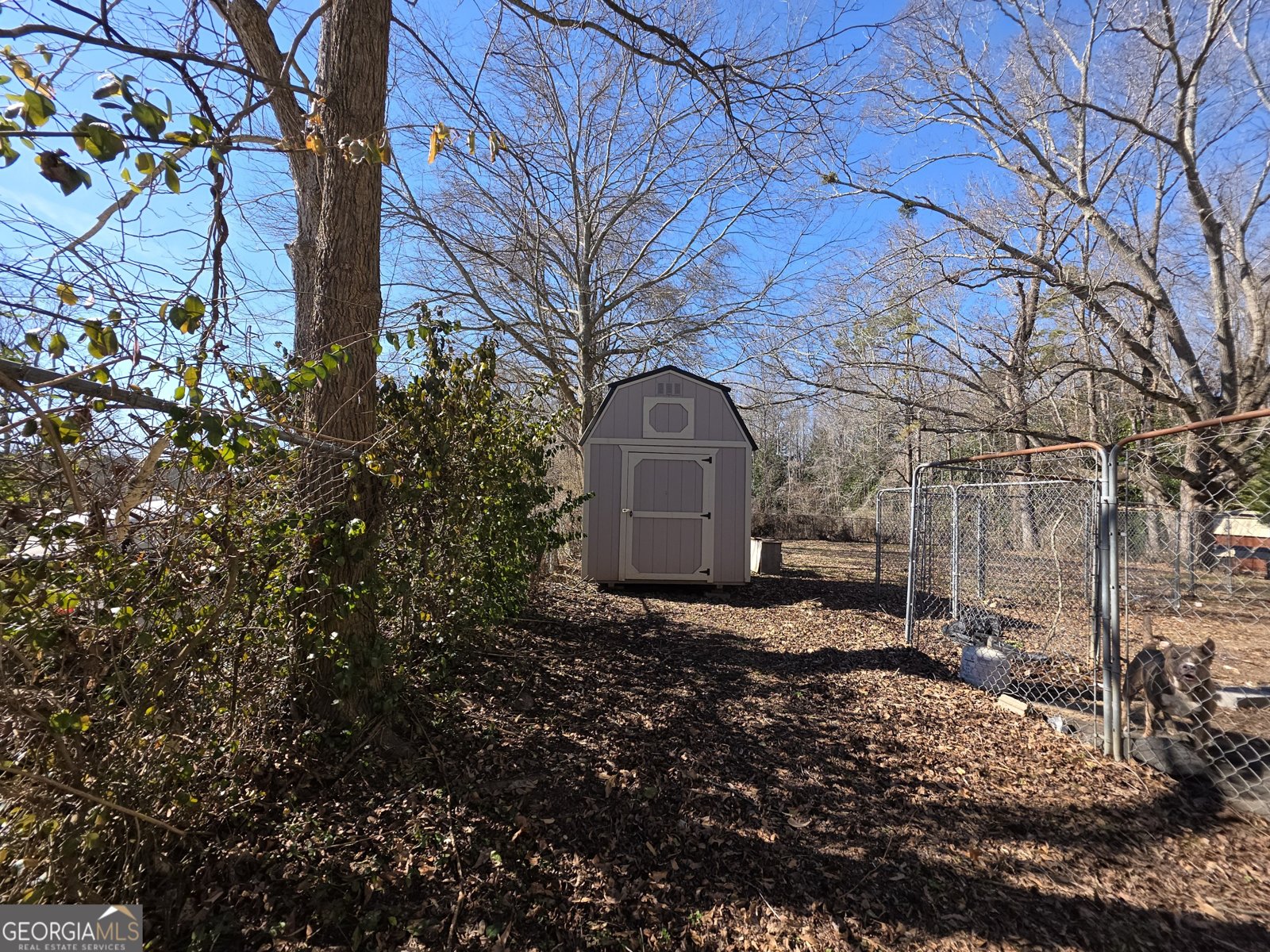 268 White Street Tallapoosa - Photo 8