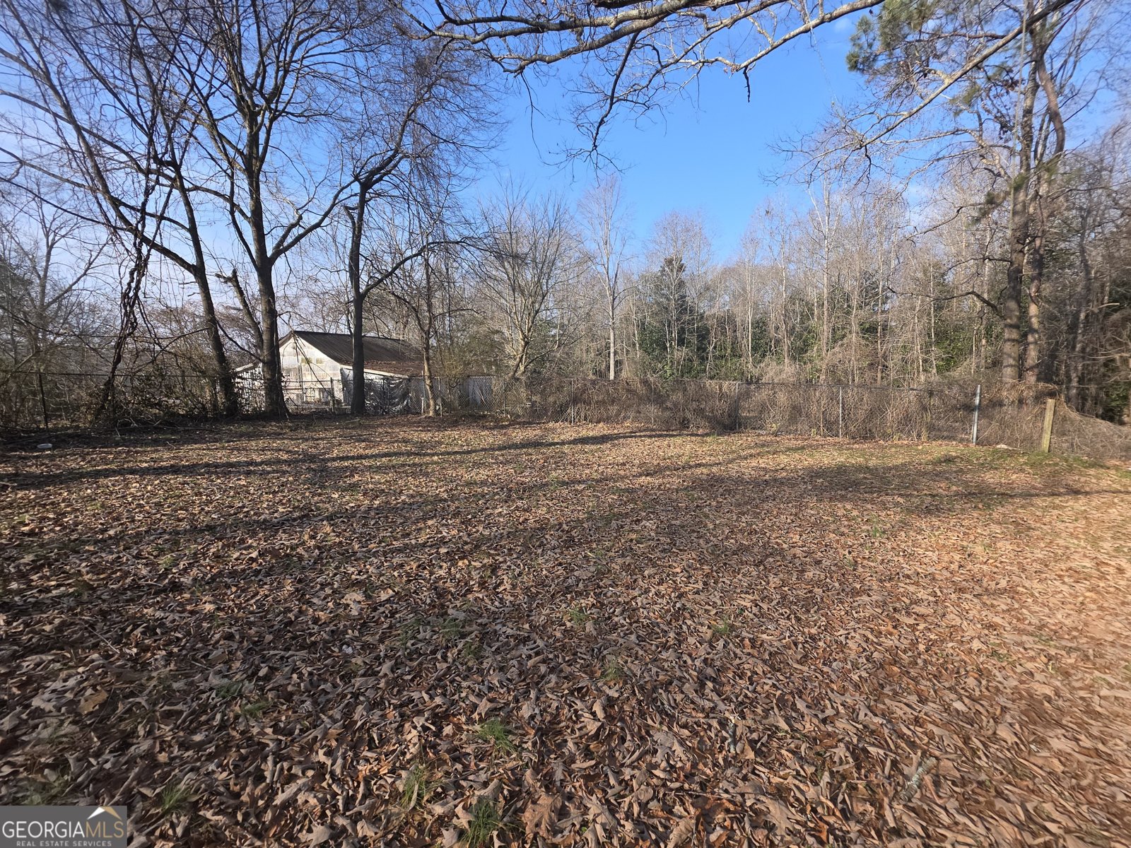 268 White Street Tallapoosa - Photo 9