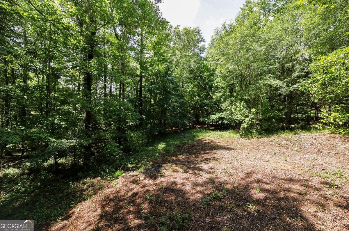 500 Kingston Road Colbert - Photo 38