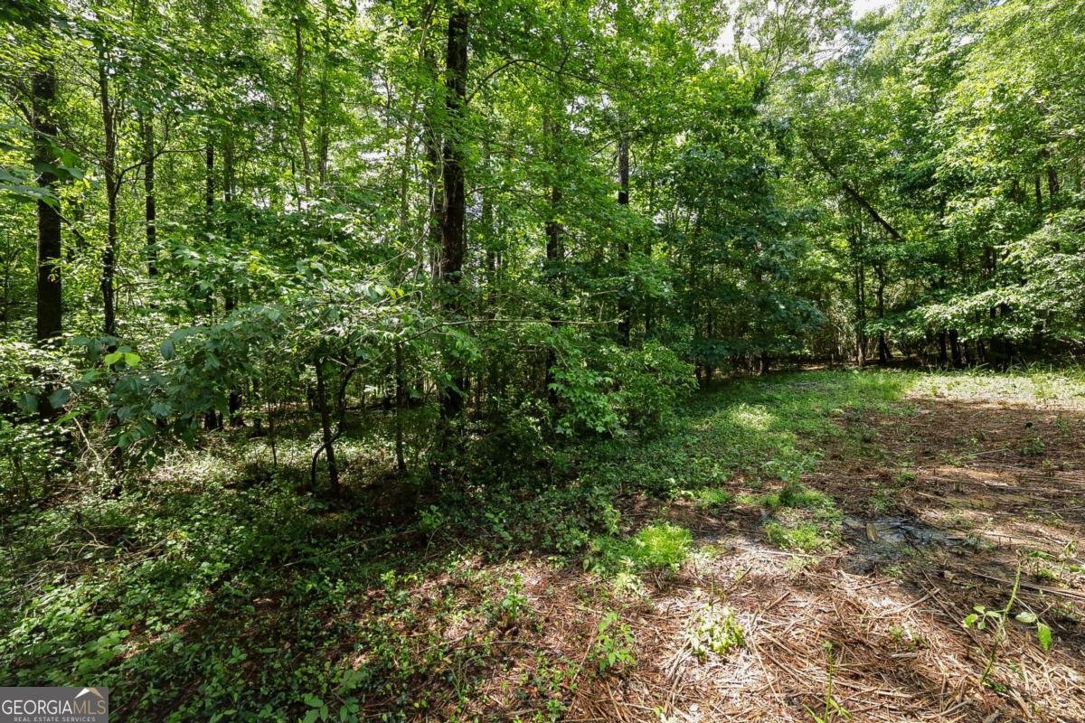 500 Kingston Road Colbert - Photo 44