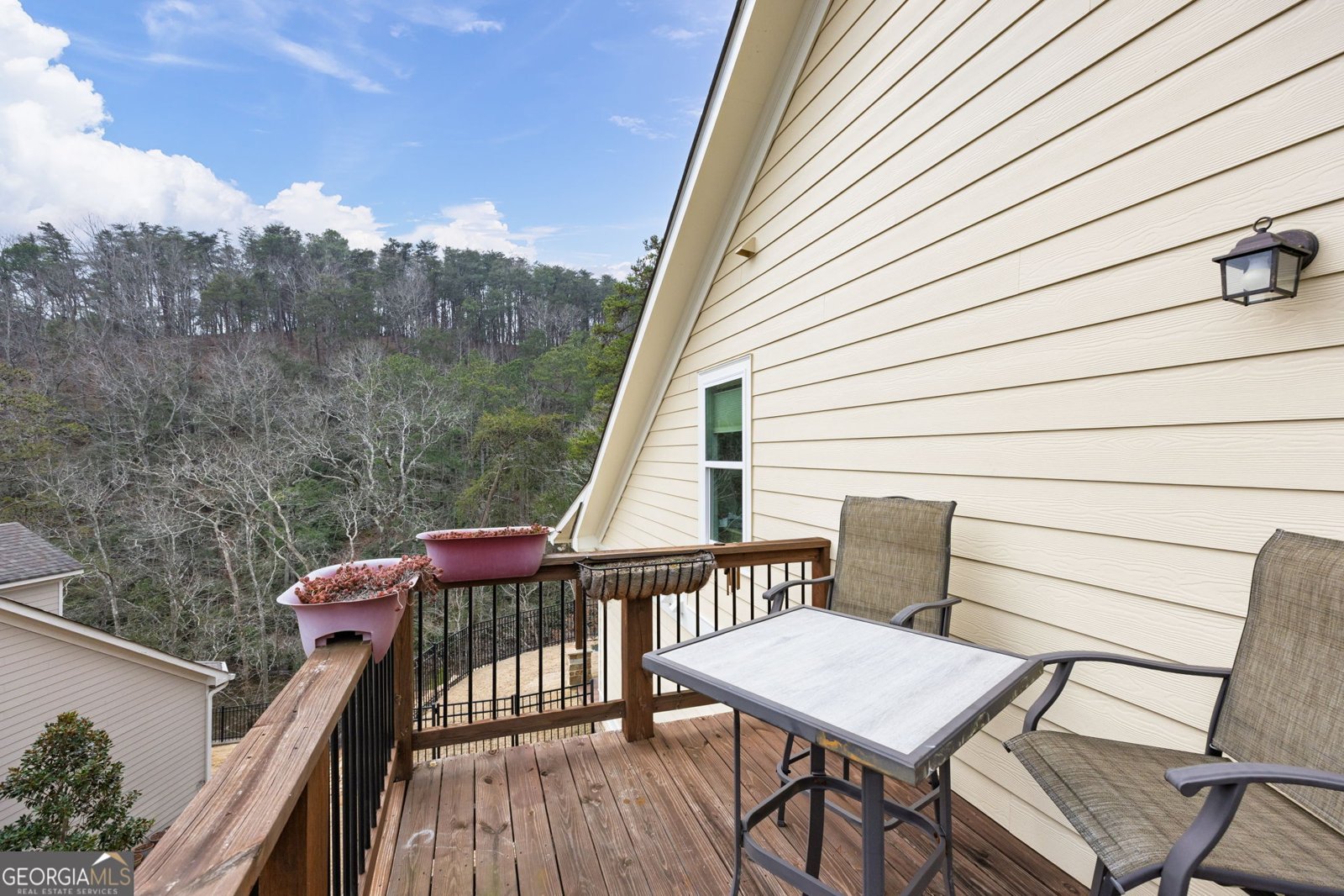 116 Sunset Peak Court Waleska - Photo 30