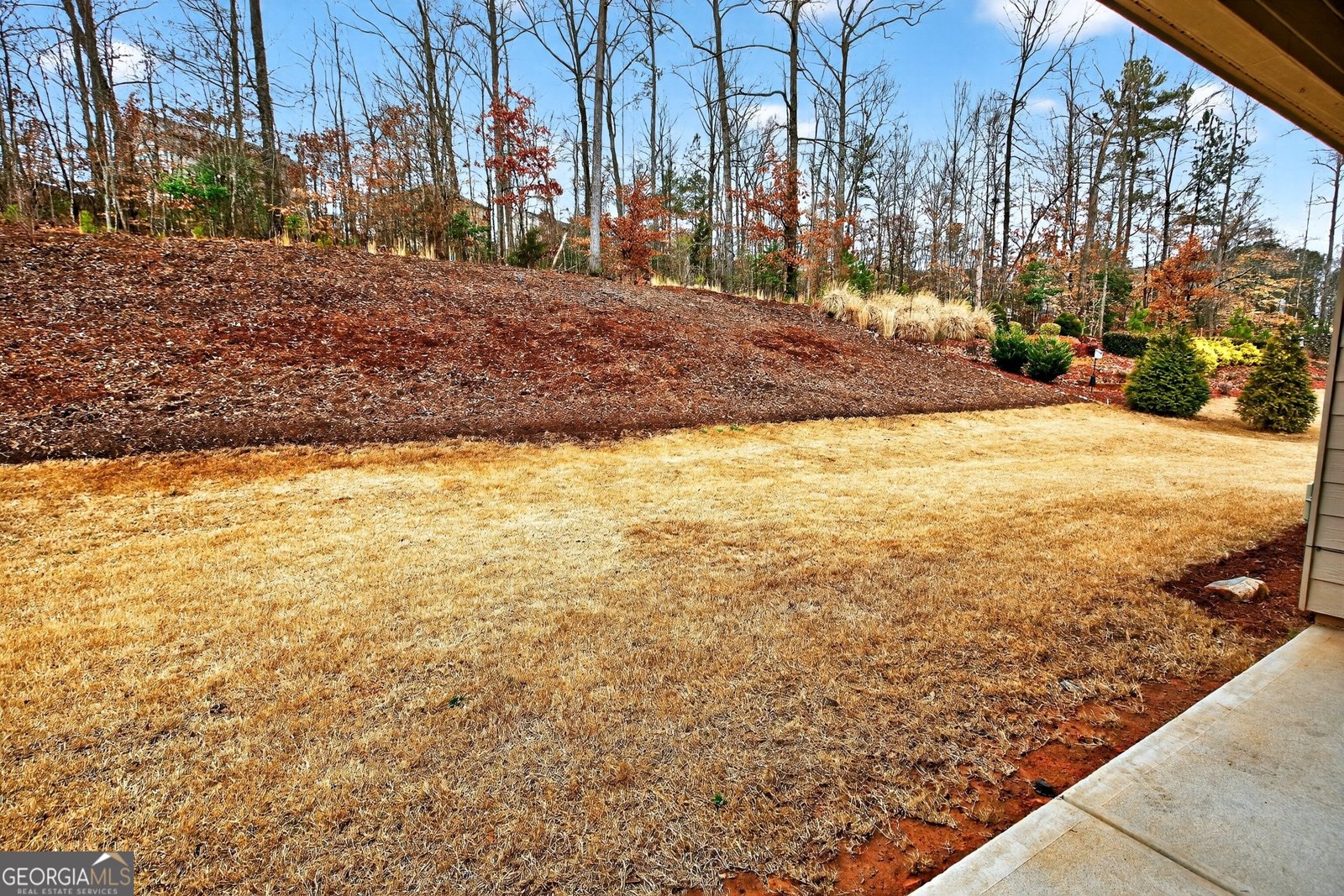 35 Blossom Wood Drive Senoia - Photo 25