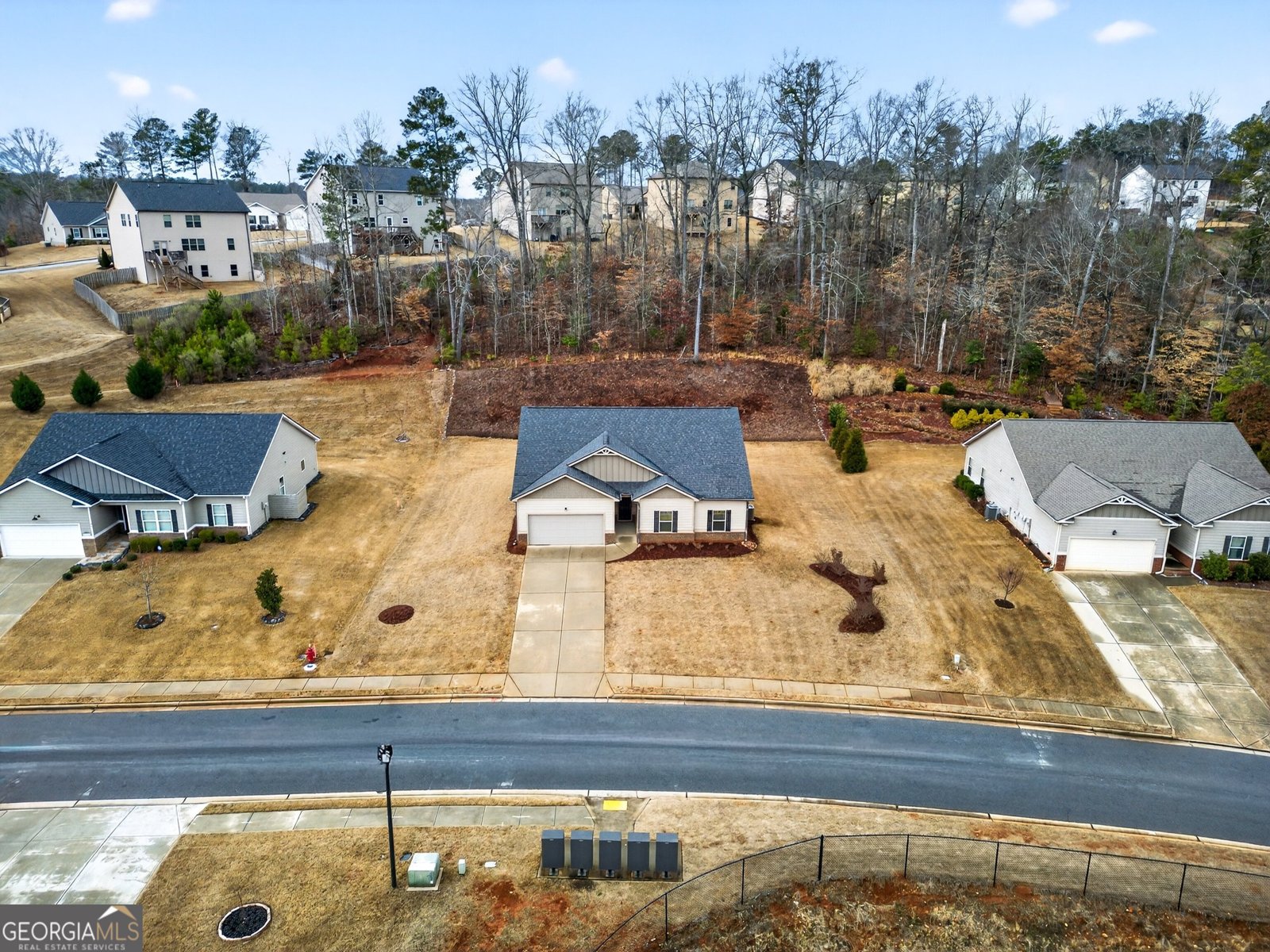 35 Blossom Wood Drive Senoia - Photo 26