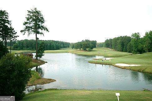 230 Gold Valley Crossing Canton - Photo 72