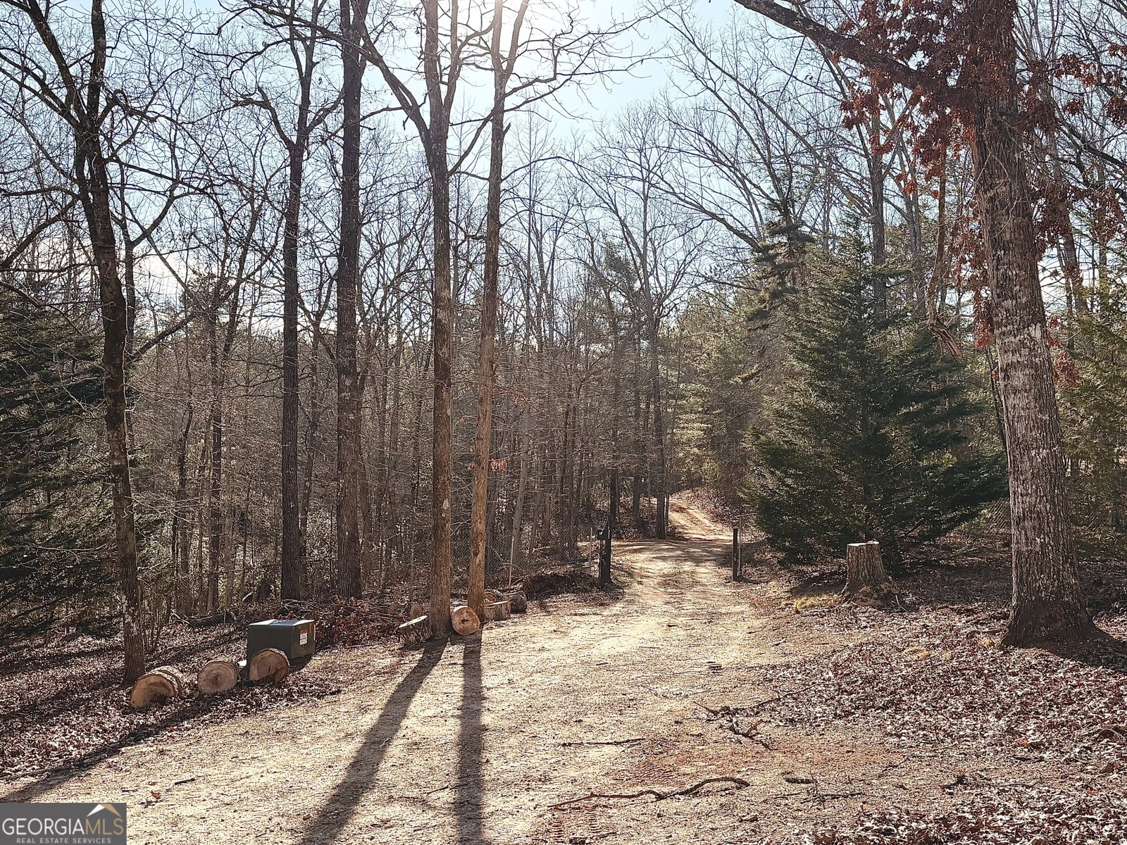 1857 Tugalo Village Road Clarkesville - Photo 28