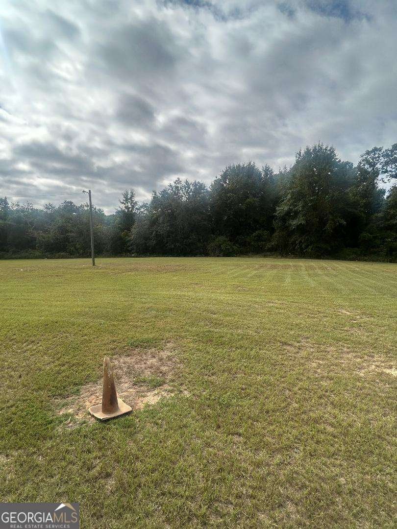 114 Mccarthy Road Buena Vista - Photo 19