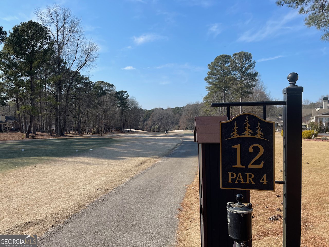 117 Masters Drive Peachtree City - Photo 46