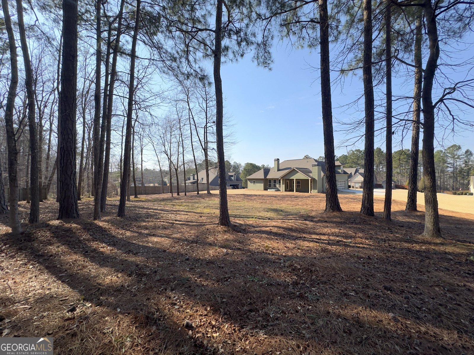 328 Cinnamon Bark Pass Locust Grove - Photo 50