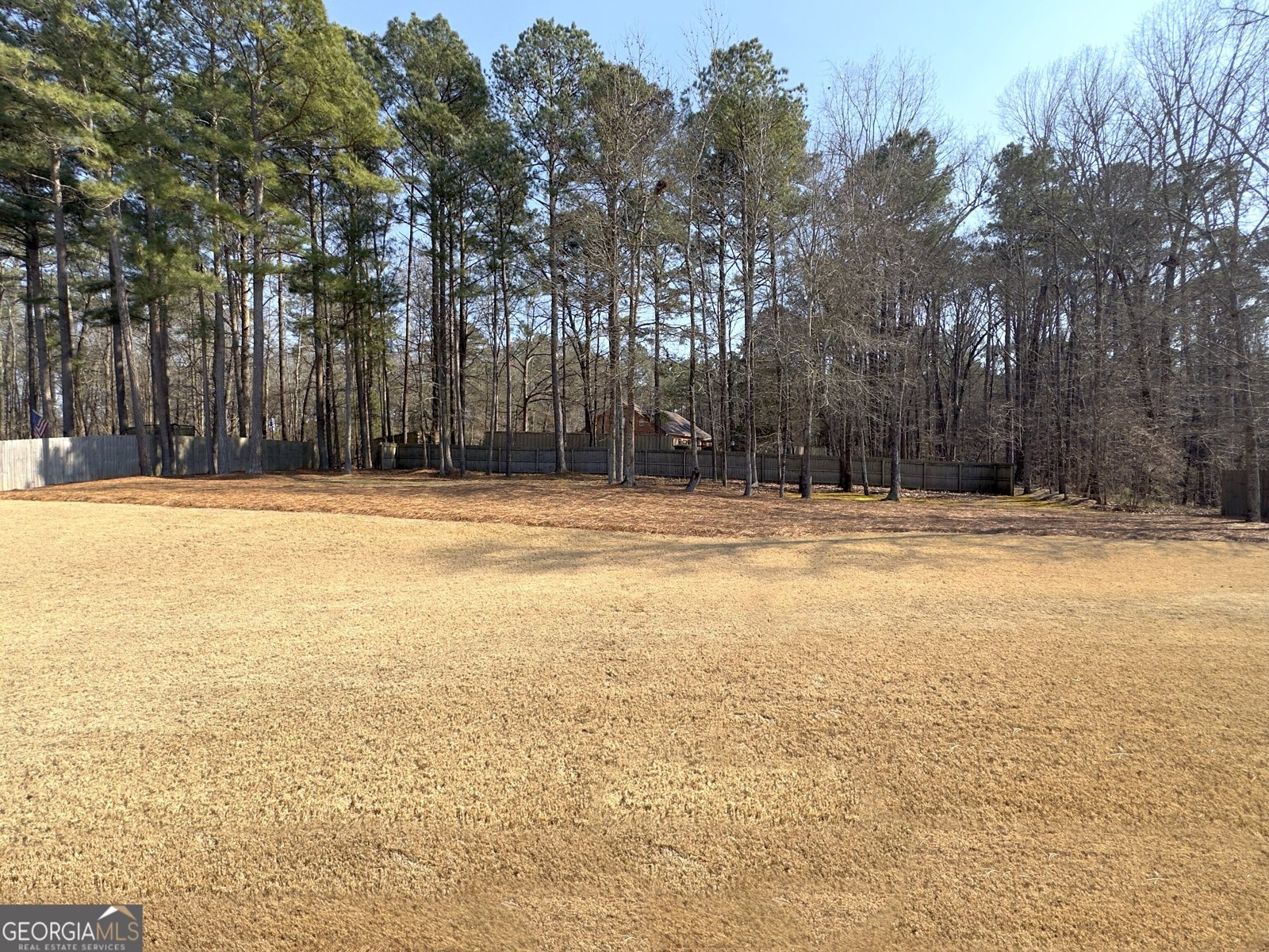 328 Cinnamon Bark Pass Locust Grove - Photo 52