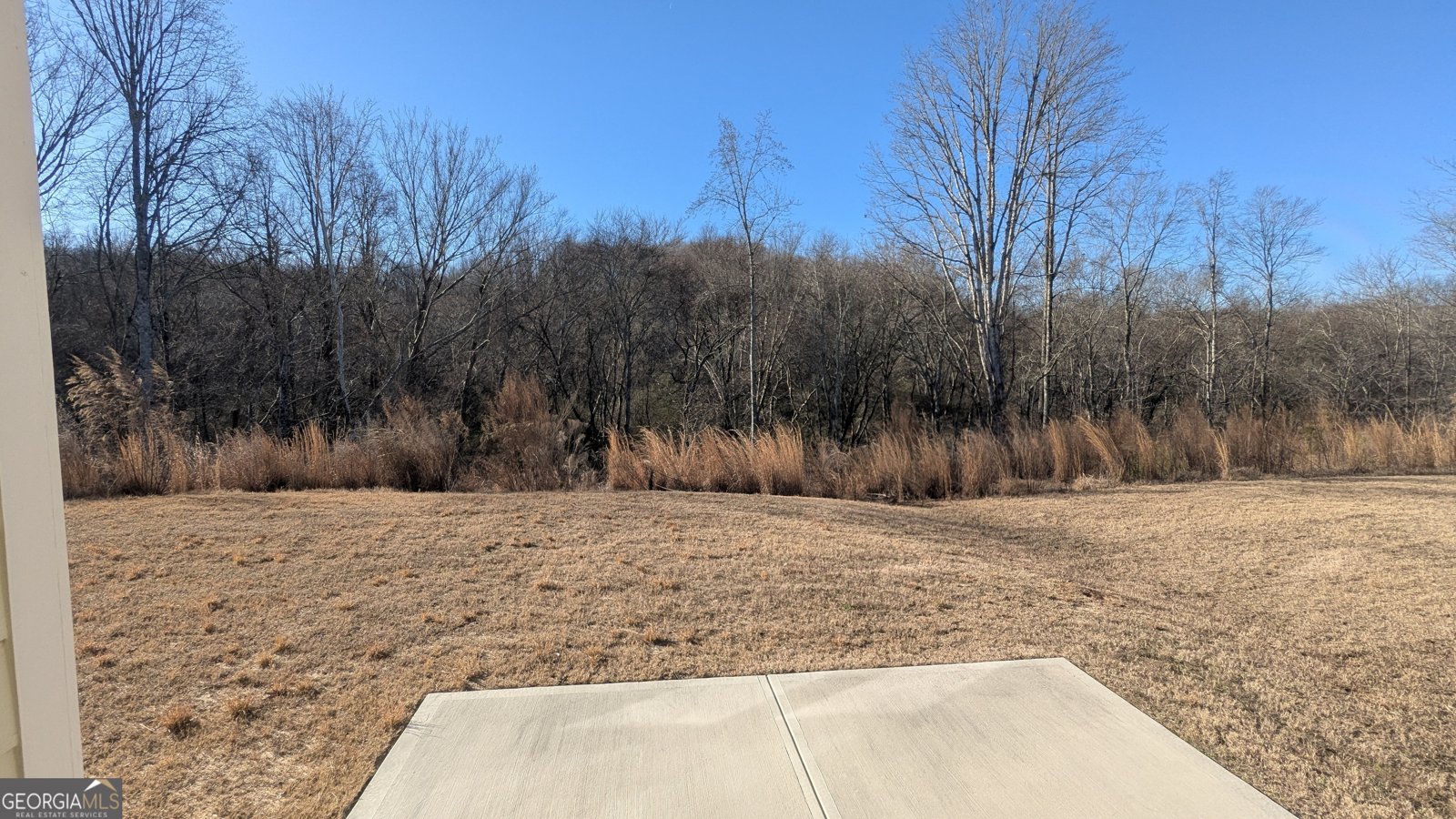 1576 Maston Road Auburn - Photo 51