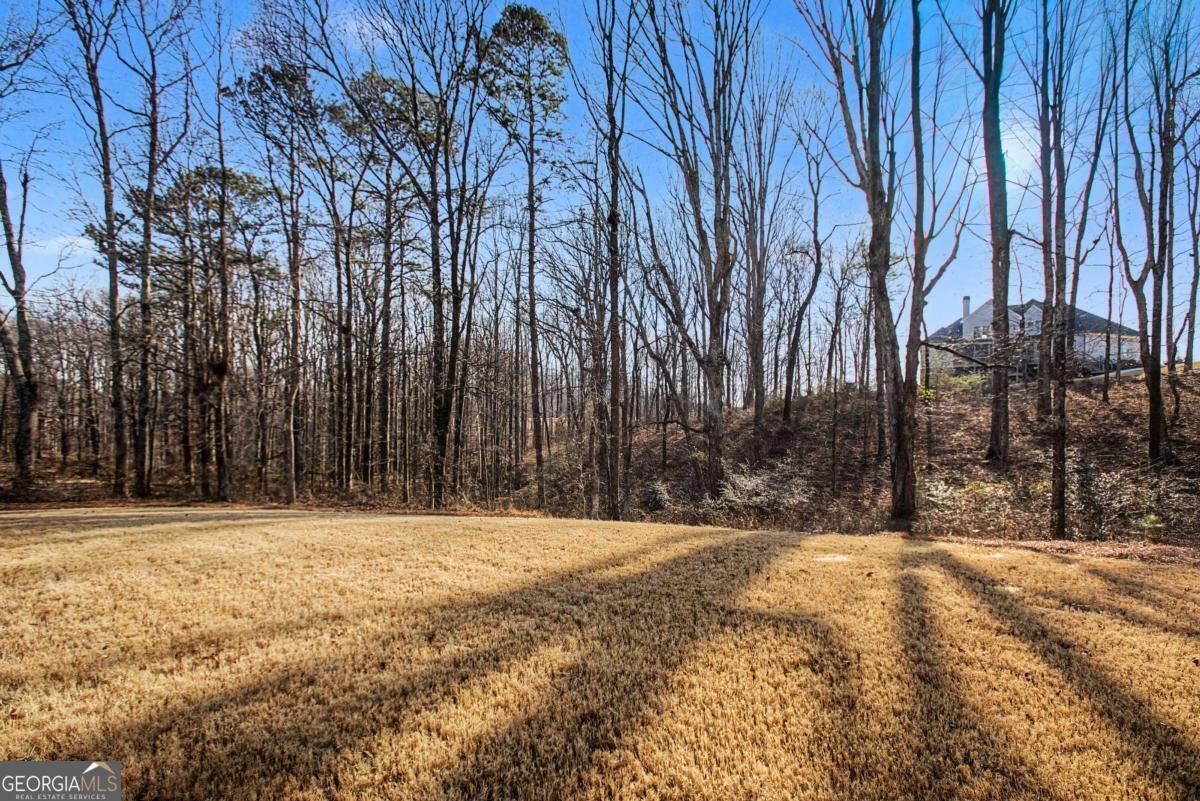 5306 Weeping Creek Trail Flowery Branch - Photo 41