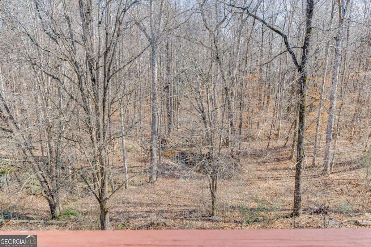 2455 Millwater Crossing Dacula - Photo 27